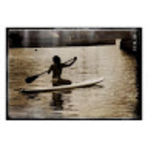 Meet your Posher, Tammy - Picture 1 of 1